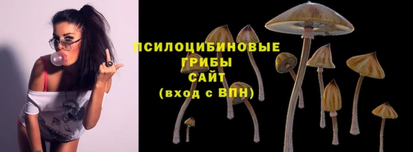 ECSTASY Козловка