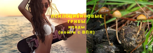 ECSTASY Козловка