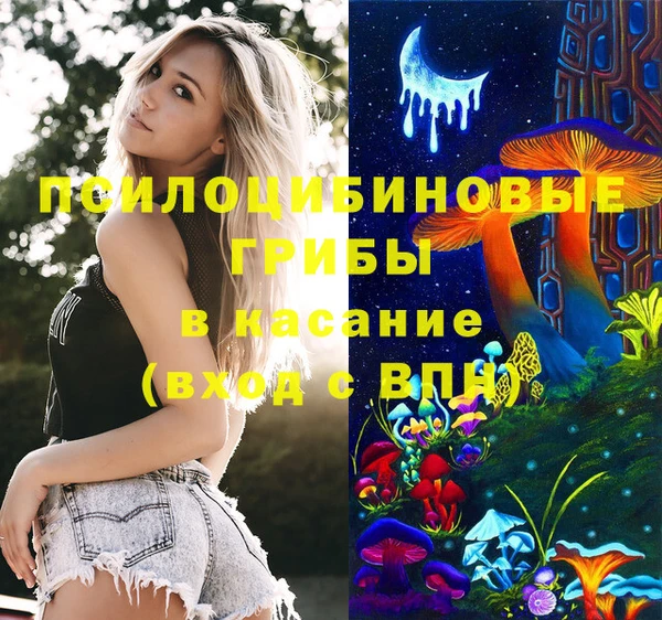 ECSTASY Козловка