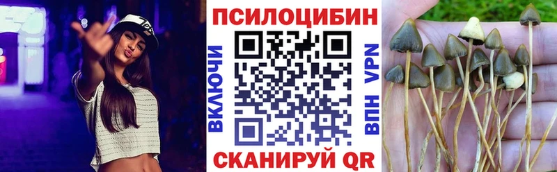 Купить Ленинск Галлюциногенные грибы Psilocybe